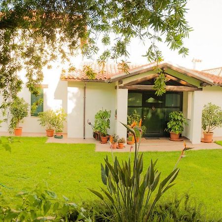 Villa Aurora Olbia Eksteriør bilde
