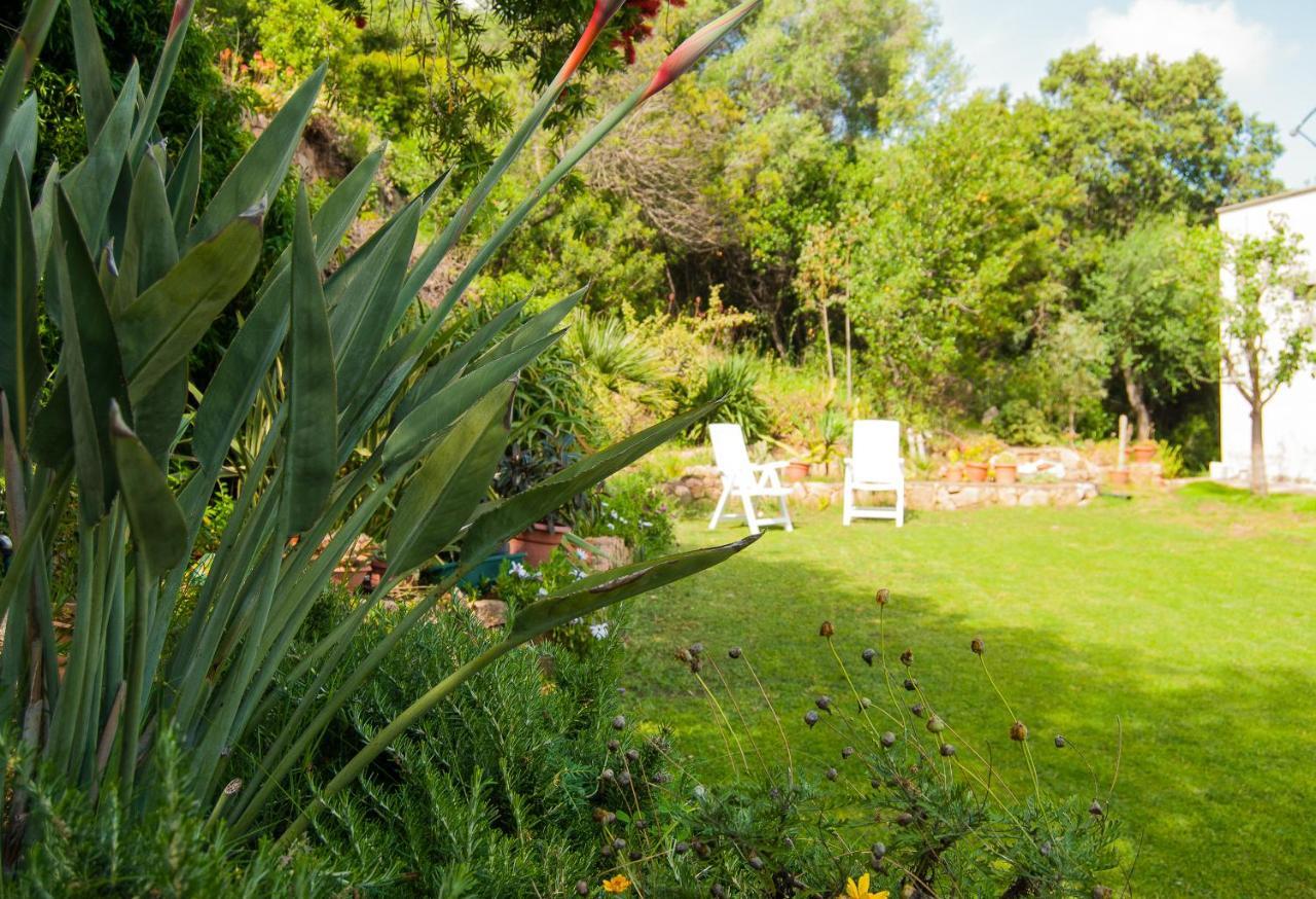 Villa Aurora Olbia Eksteriør bilde